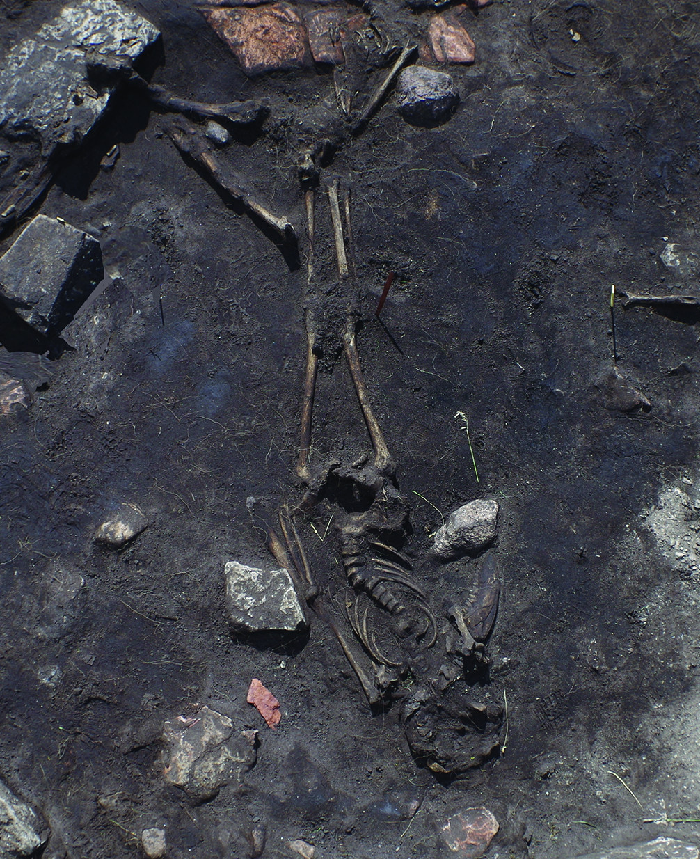 This Recently Discovered Fifth-Century Massacre In Sweden Is So Game Of Thrones We Can’t Even Handle It