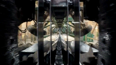Riding Along With A Log Through A Saw Mill Is Absolutely Terrifying