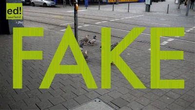 This Viral Video Of Ducks Waiting For A Green Light To Cross The Street Is Totally Fake