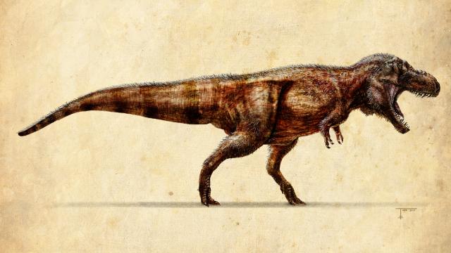 How Fast Did T. rex Run?' and other questions about dinosaurs examined in  new book 