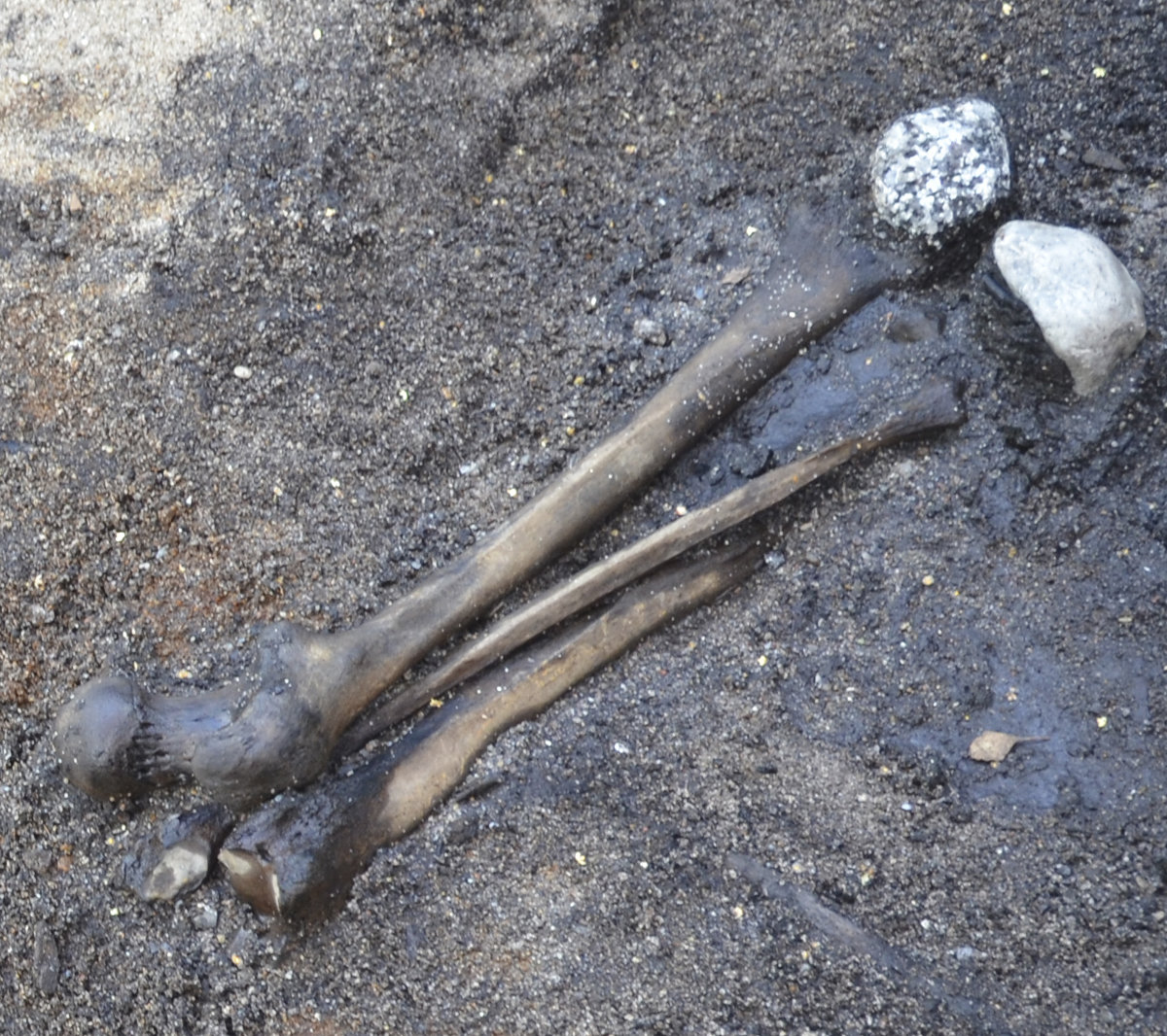 A Bizarre Bone Ritual Followed A Grisly Iron Age Battle In Denmark