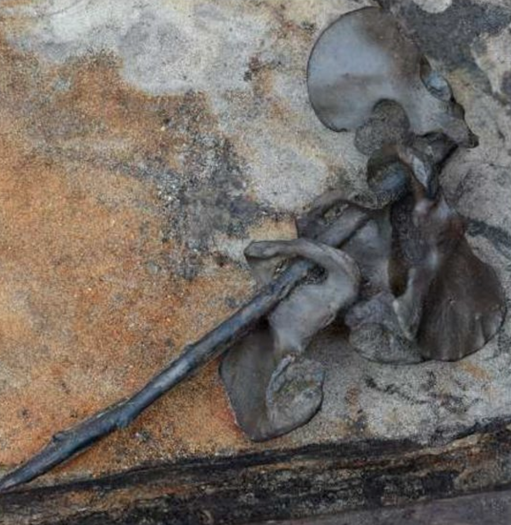 A Bizarre Bone Ritual Followed A Grisly Iron Age Battle In Denmark