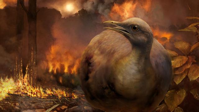 Dinosaur-Killing Asteroid Rewrote The History Of Birds