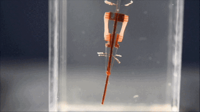 Truly Cyborg Fingers Combine Robotics With Living Cells