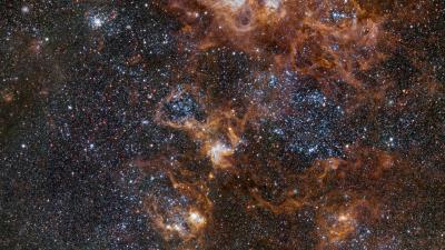 New View of the Tarantula Nebula Is the Space Picture We All Need Today