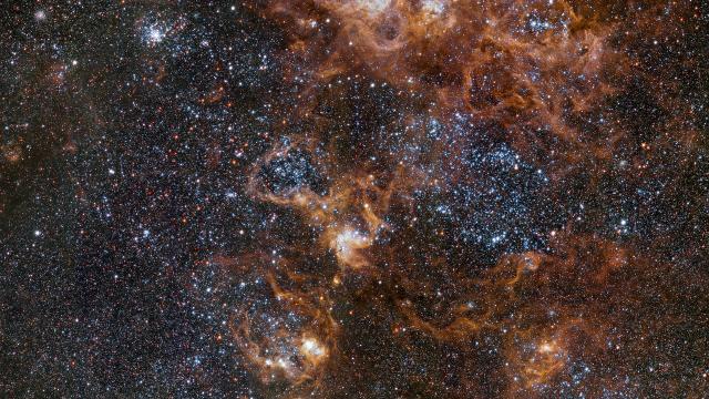 New View of the Tarantula Nebula Is the Space Picture We All Need Today