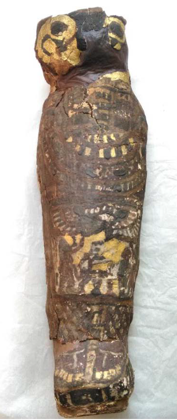 Ancient Egyptian Mummified ‘Hawk’ Is Actually A Stillborn Human Baby