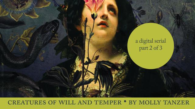 The Victorian Fantasy Serial Creatures Of Will & Temper Continues Here