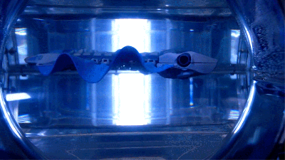 The Hypnotic Wavy Fins On This Swimming Alien-Like Robot Make It Agile As Hell