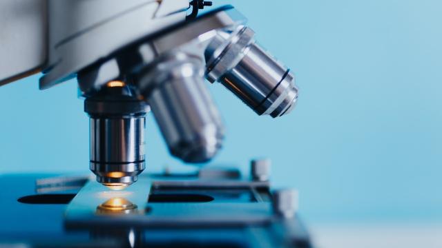 Damning New Report Lays Out Science’s Sexual Harassment Problem