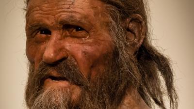 Final Days Of Ötzi The Iceman Revealed Through New Analysis Of His Tools