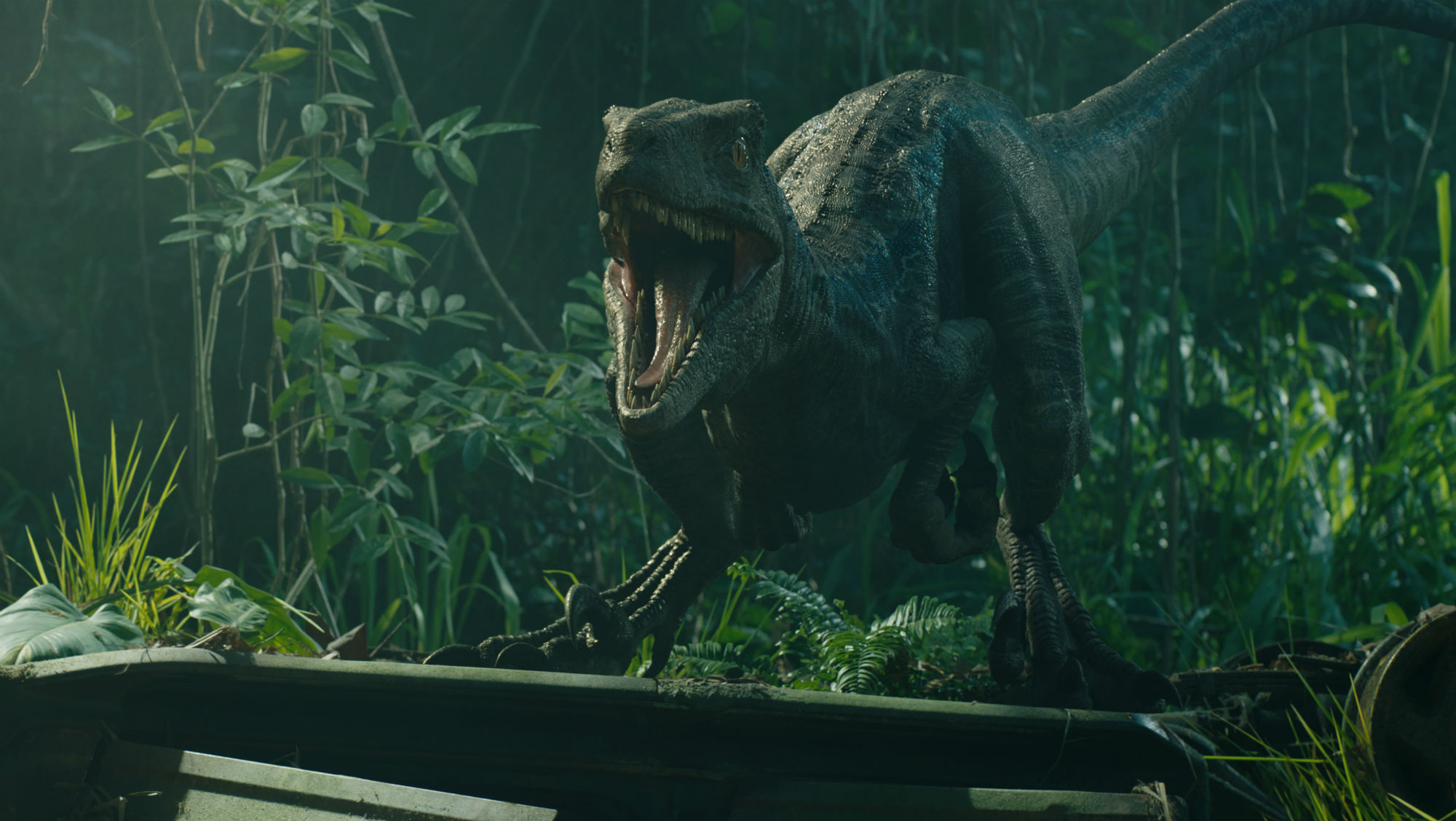 The Makers Of Jurassic World: Fallen Kingdom Solve Some Of The Film’s Big Mysteries