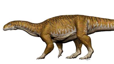 This Triassic Beast Paved The Way For The World’s Largest Dinosaurs