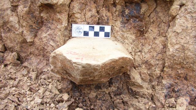Discovery Of Stone Tools In China Shows Early Humans Left Africa Over 2 Million Years Ago