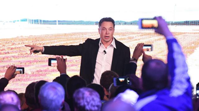 Report: Elon Musk Dragged The Sierra Club Into Helping Him On Twitter And It Didn’t End Well
