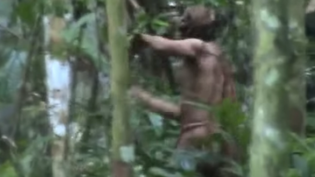 To Protect Lone Survivor Of Decimated Amazon Tribe, Group Releases Footage Proving He’s Still Alive