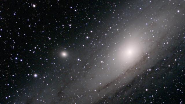 Our Neighbour Andromeda May Have Cannibalised Another Galaxy