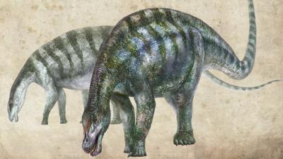 New ‘Amazing Dragon’ Dinosaur Species Discovered In China