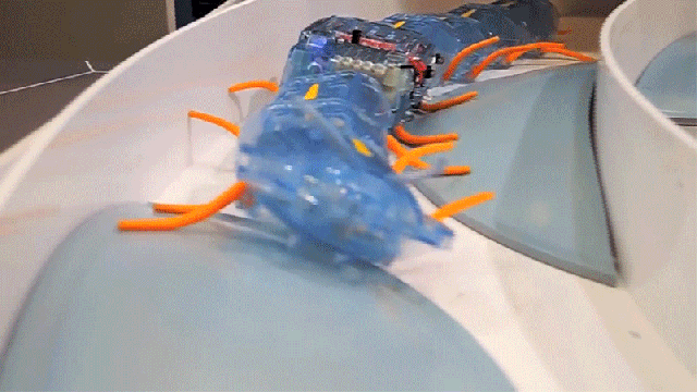 You Can Build This Creepy, Crawly Robotic Centipede Yourself, And Then Stomp It Back To Hell
