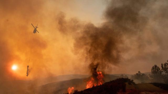 California’s Bushfires Are Creating An Air Pollution Nightmare