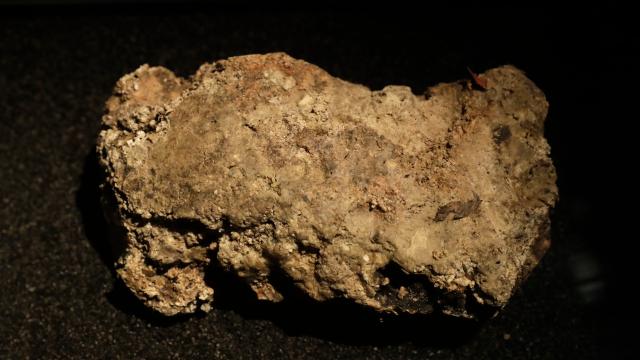 The Museum Of London Is Livestreaming A Chunk Of Fatberg So You Can Watch It Morph