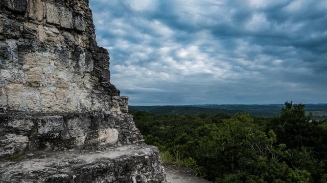 What Ancient Maya Forests Can Tell Us About Our Future