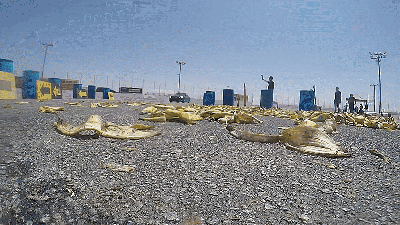 Here’s What Happens When A Car Actually Runs Over Banana Peels Just Like In Mario Kart