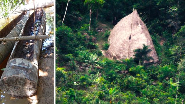 Brazil Releases Drone Footage Of Amazon Tribe Previously Unseen By Outsiders