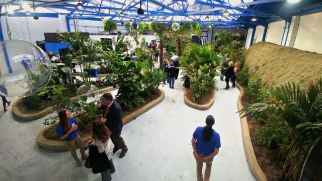 Insectarium CEO Says $68,000 Bug Heist Was An Inside Job