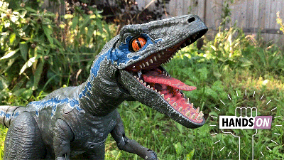 Sony Can Keep Its Plastic Dog, This Robotic Raptor Is My New Perfect Pet