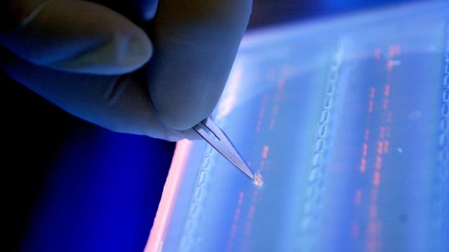 Appeals Court Upholds CRISPR Patent, Potentially Ending Bitter Dispute