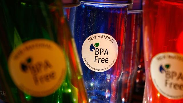 Study Suggests BPA-Free Plastics Are Just As Harmful To Health