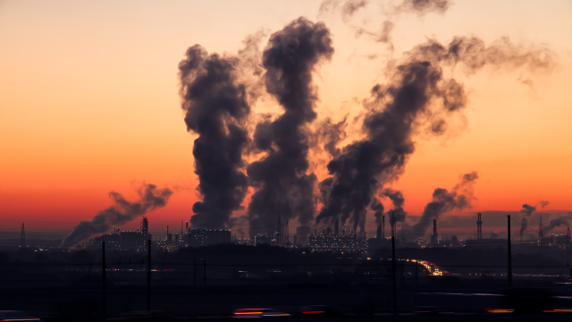 Study Shows That Soot From Polluted Air Can Reach The Placenta
