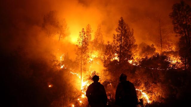 The Largest Bushfire In California’s History Is Finally Out