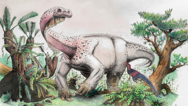 Meet The New Long-Necked Dinosaur Called ‘Giant Thunderclap At Dawn’