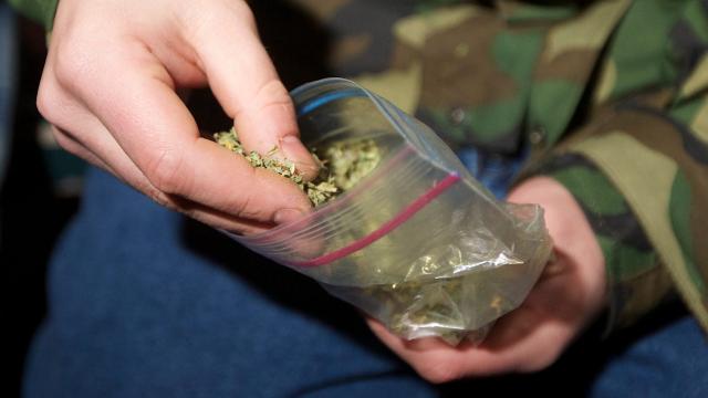 You Don’t Need To Sneak Weed Past Security At LAX