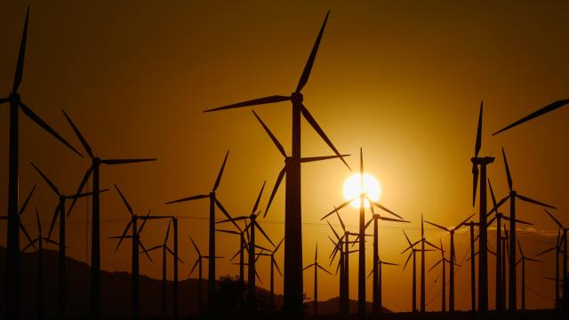 Wind Farms May Actually Warm The US, Controversial Study Finds