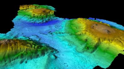 Tasmania’s Newly Discovered Volcanic ‘Lost World’ Is A Haven For Marine Life