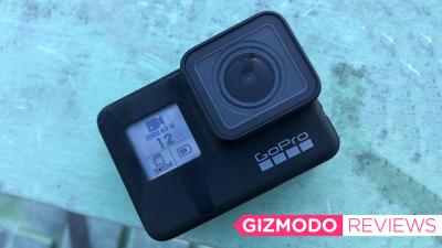 I Strapped GoPro’s Hero7 Black To My Dog And My Hog To See How Stable The Video Really Is