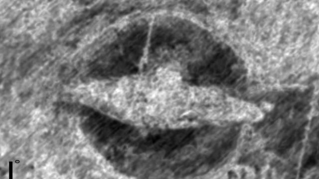 Ancient Viking Ship Found Buried Next To Busy Norwegian Freeway