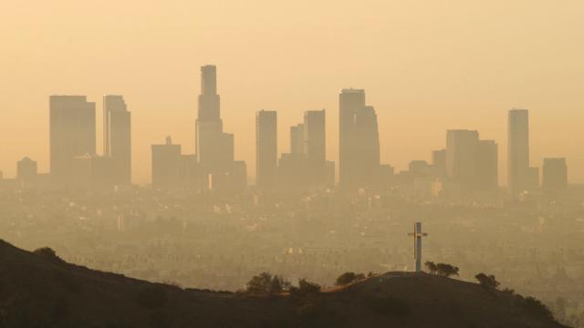 Environmental Regulation Has Helped Cut Deaths From Air Pollution In Half, Study Finds