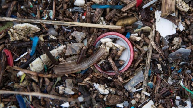 Scientists Say They Have Found Microplastics In People’s Poop, But Don’t Worry Just Yet