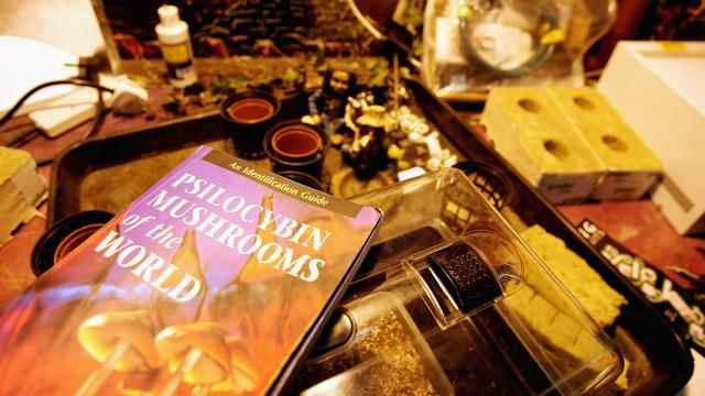 The Main Ingredient In Psychedelic Mushrooms Is Closer To Becoming An FDA-Approved Depression Treatment