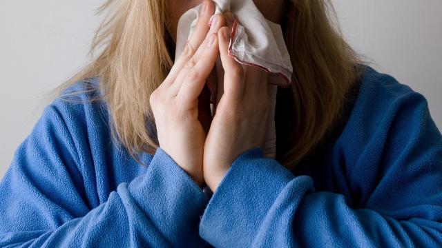 Report Offers New Insights Into Last Winter’s Historically Deadly Flu