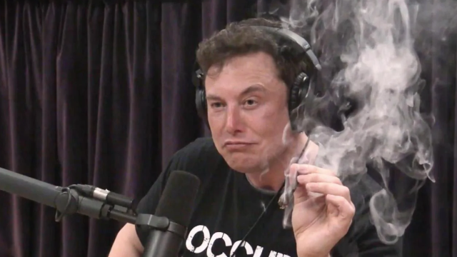 The Internet Reacts To Elon Musk Asking For Ur Dankest Memes