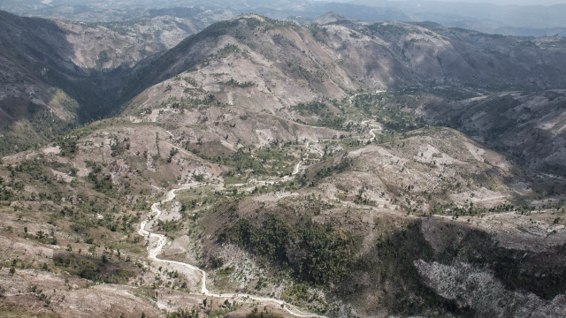 Has Haiti Lost Nearly All Of Its Forest? It’s Complicated