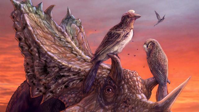 Incredible Bird-Dinosaur Specimen Thrills Scientists After 25 Years In Museum Storage