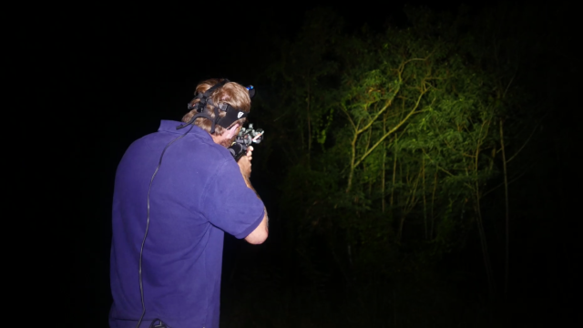 The Biologists Using Toy Guns To Thwart A Pacific Snake Invasion