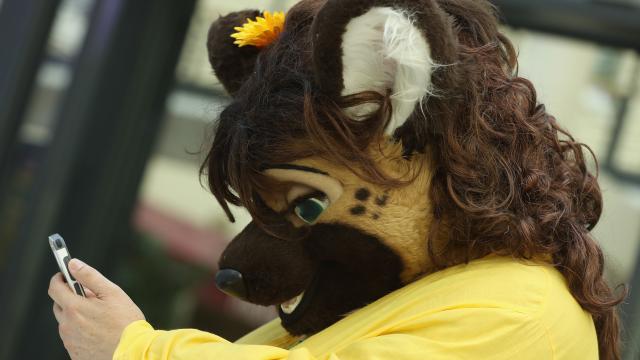 Hackers Hit Adult Furry Website, Exposing Hundreds Of Thousands Of Users