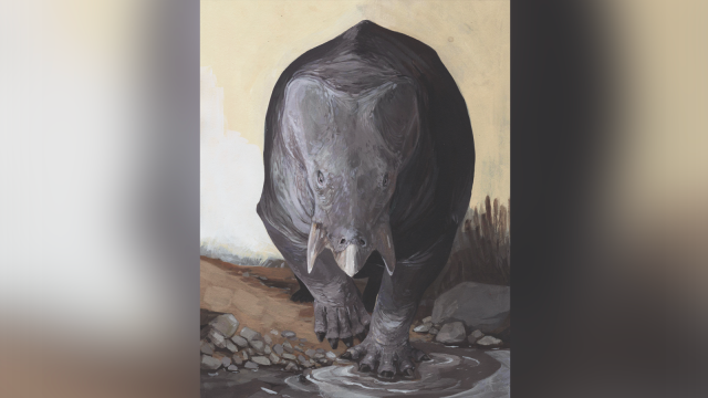 During The Triassic Period, This Elephant-Sized Relative Of Mammals Lived Alongside The Dinosaurs